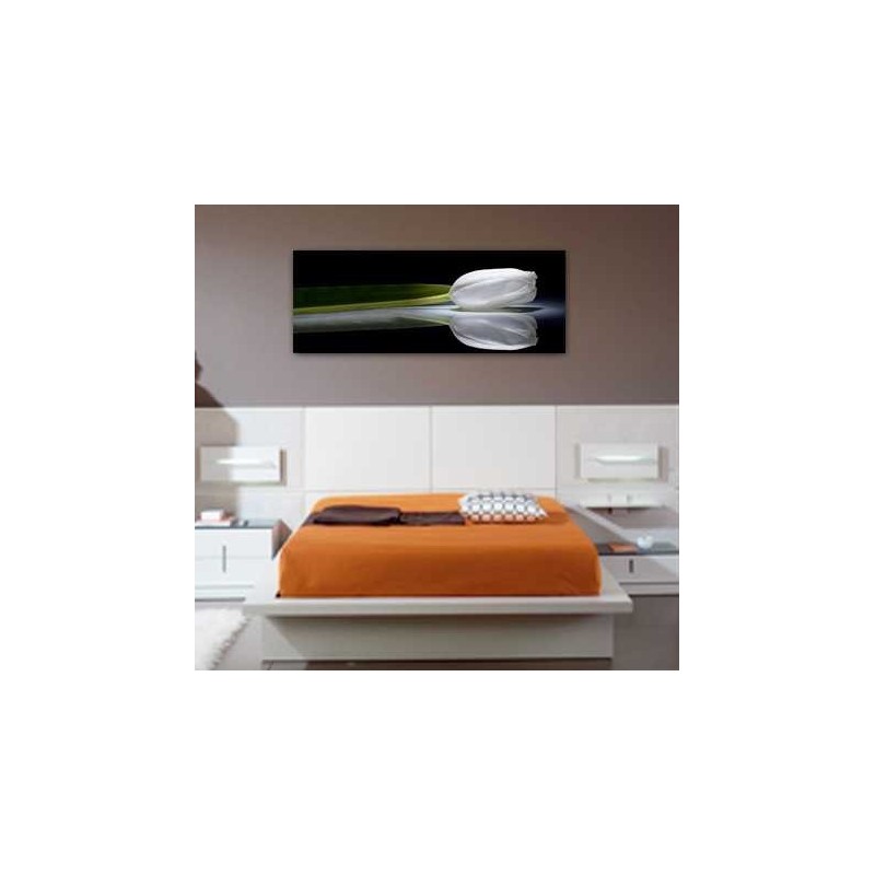 Arte moderno, Tulipán fondo negro, decoración pared Cuadros Dormitorio elegantes venta online